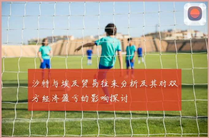 沙特与埃及贸易往来分析及其对双方经济盈亏的影响探讨